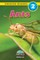 Ants