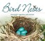 Bird Nests