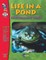 Life in a Pond