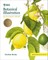 Rhs Botanical Illustration