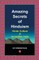 Amazing Secrets of Hinduism - Demy (PB) - 1st