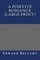 A Positive Romance (Large Print)
