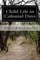 Child Life in Colonial Days