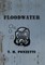 Floodwater