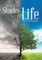 Shades of Life