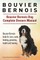 Bouvier Bernois. Bouvier Bernois Dog Complete Owners Manual. Bouvier Bernois book for care, costs, feeding, grooming, health and training.
