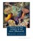 Glaucus, or, The wonders of the shore, By Charles Kingsley (illustrated)