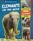 Elephants on the Move
