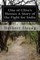 One of Clive's Heroes A Story of the Fight for India