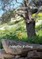 An Encounter With Yeshua