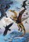 Dragon Alliance Dark Storm