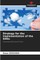 Strategy for the implementation of the SDGs