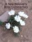 A New Believer's Bible Commentary: Psalms - Song of Songs