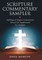 Scripture Commentary Sampler