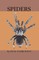 Spiders