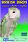 British Birds - names facts myths