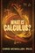 What is calculus?