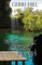 The Secret Pond
