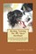 Herding Training The Off-Stock Workbook