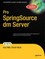 Pro Springsource DM Server