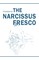 Chaddanta, .: Narcissus Fresco