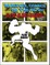 Comtois, P: Marvel Comics in the 1970s: Expanded Edition