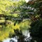Still Waters