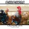 Chickens Calendar 2019