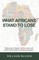 What Africans Stand to Lose