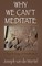 Why We Can't Meditate