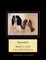 Spaniels