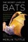 The Secret Lives of Bats