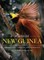 Birds of New Guinea