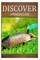 Armadillos - Discover