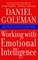 Working with Emotional Intelligence