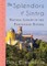 The Splendors of Sintra