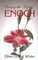 Living the Life of Enoch