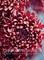Chrysanthemums