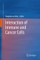 Interaction of Immune and Cancer Cells