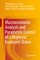 Macroeconomic Analysis and Parametric Control of a Regional Economic Union