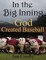 In the Big Inning God Created Baseball