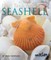 Next Time You See a Seashell