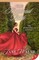 The Accidental Bride