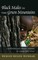Black Males in the Green Mountains; Colorblindness and Cultural Competence in Vermont Public Schools