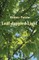 Leaf-dappled Light