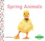 Spring Animals