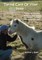 Taking Care Of Your Pony