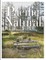 Pacific Natural