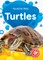 Turtles