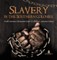 Slavery in the Southern Colonies North American Colonization Grade 3 Children's American History
